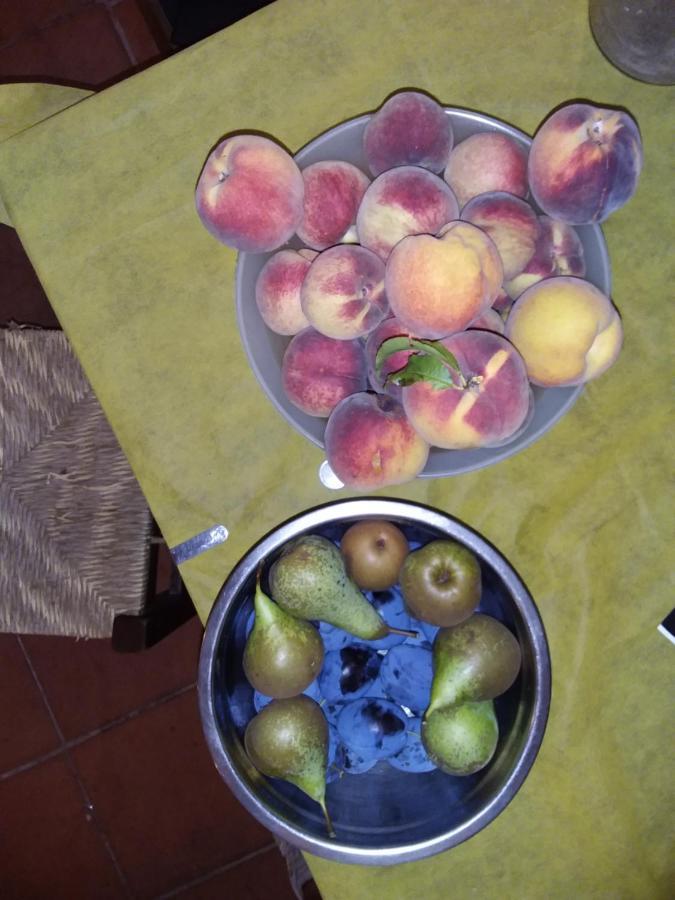 Podere Il Sorriso Degli Angeli Pistoia Buitenkant foto
